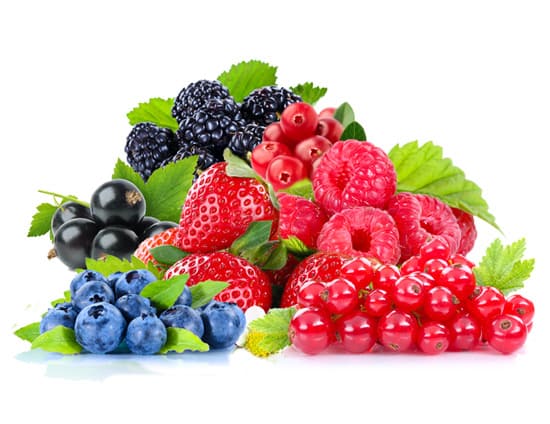 Beeren Elbak Cups Griechenland